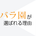 バラ園が選ばれる理由